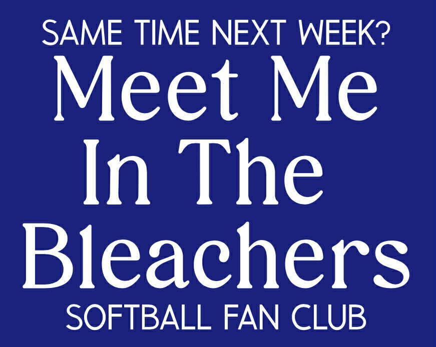 Meet me in the Bleachers T-Shirt